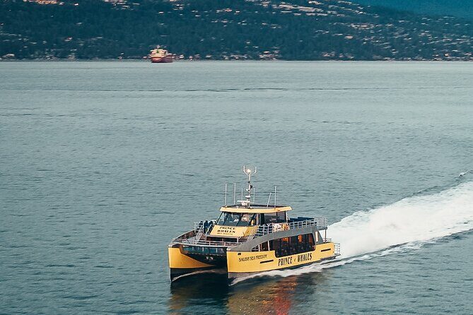 Victoria Half-Day Whale Watching Adventure with Free Photos - Wildlife Encounters: The Main Attraction