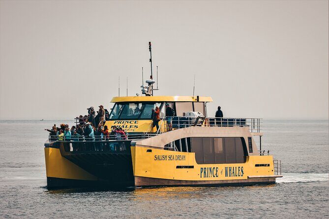 Victoria Half-Day Whale Watching Adventure with Free Photos - Detailed Itinerary Breakdown