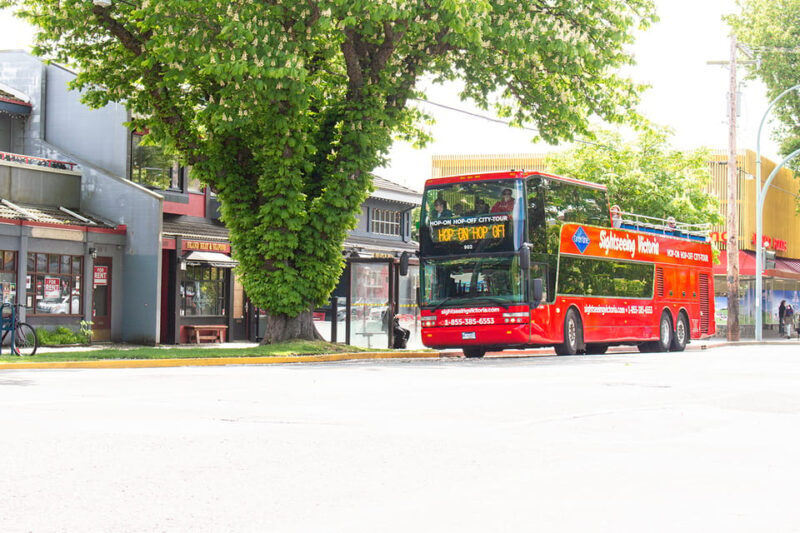 Victoria: Hop-On-Hop-Off Sightseeing Bus Tour - An In-Depth Look at the Victoria Hop-On-Hop-Off Bus Tour