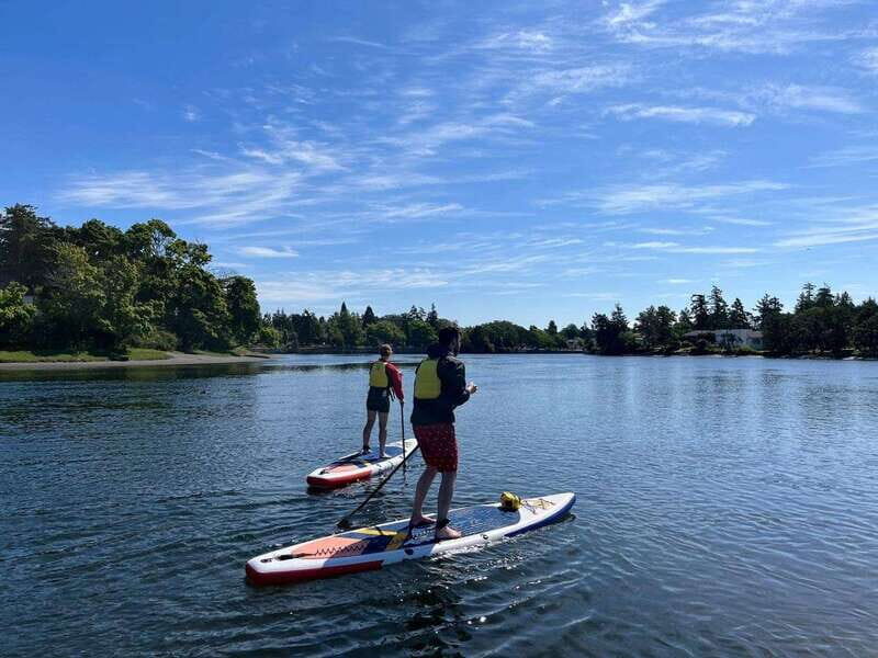 Victoria: Intro to Stand Up Paddle Boarding at Thetis Lake - Key Points