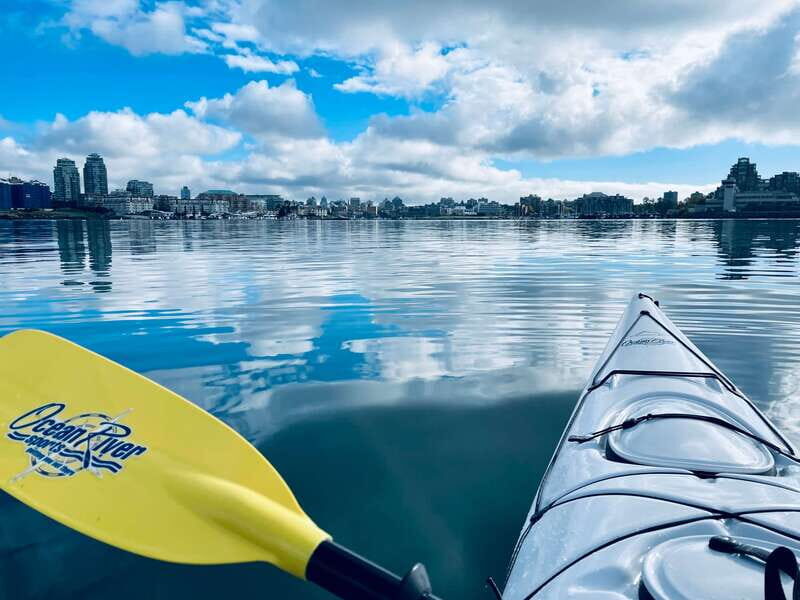 Victoria: Kayak Harbour Tour - A Closer Look at the Victoria Kayak Harbour Tour