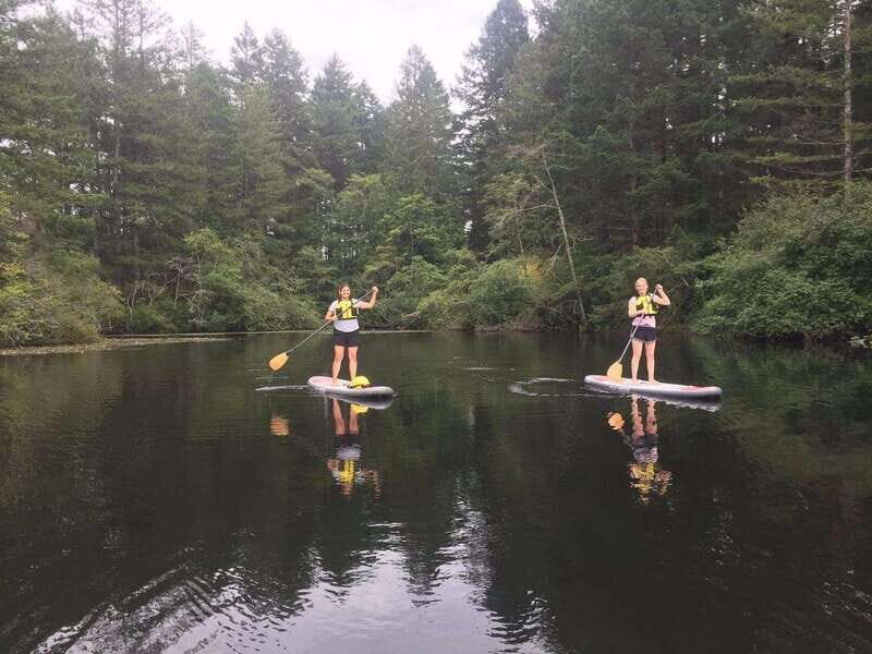 Victoria: Paddle Board Rental with Full Equipment - The Sum Up