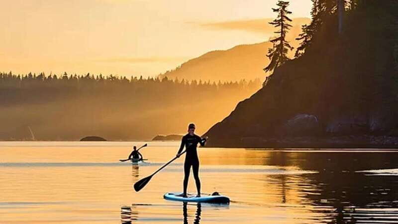 Victoria: Paddle Board Tour at Willows Beach - The Value of This Experience