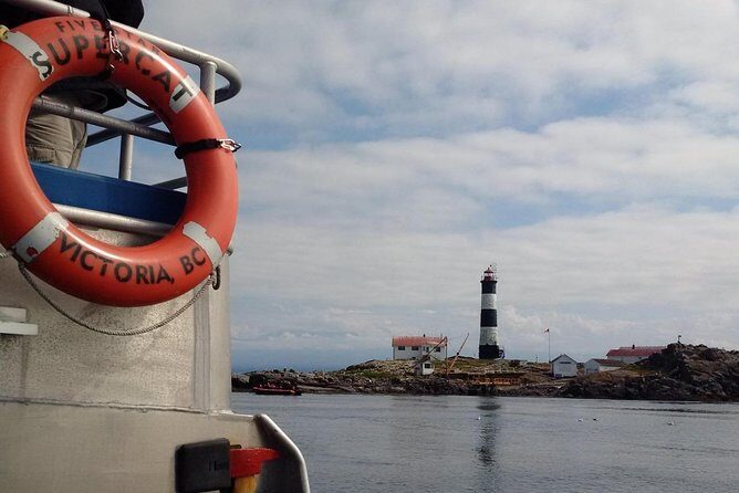 Victoria Shore Excursion: Whale-Watching Cruise with Expert Naturalist Guides - FAQ