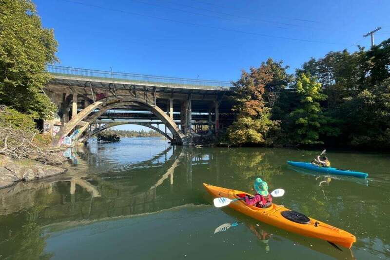 Victoria: Single Sea Kayak Rental - Price and Value