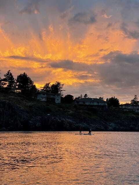 Victoria: Sunrise or Sunset SUP Tour - Final Thoughts