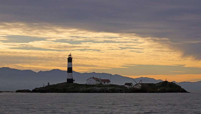 Victoria: Sunset Whale Watching Tour on an Open Scarab Boat - An Honest Look at the Experience