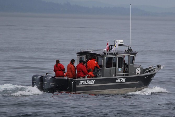 Victoria Ultimate Marine Whale & Wildlife Tour - FAQ
