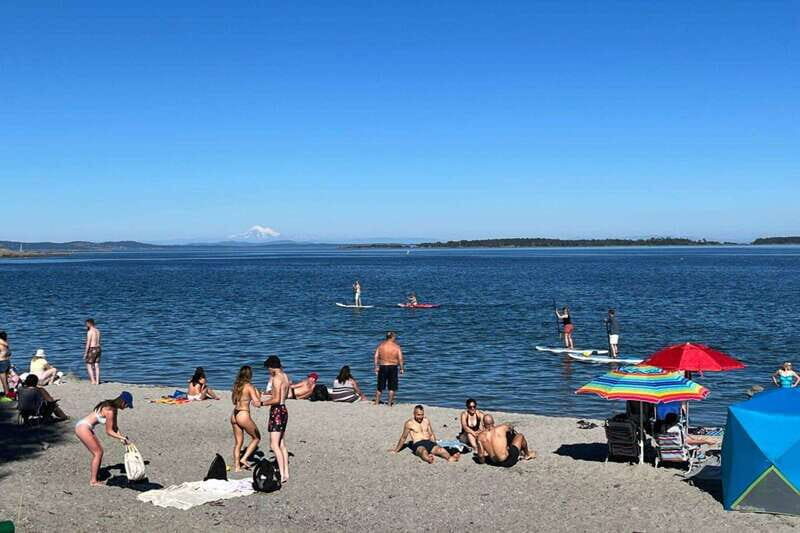 Victoria: Upper Gorge Waterway Paddle Boarding Tour - Why You Should Consider This Tour