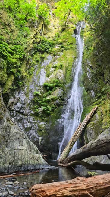Victoria Waterfall, Skywalk, Beach Picnic, Castle and Whales - An Overview of What This Tour Offers