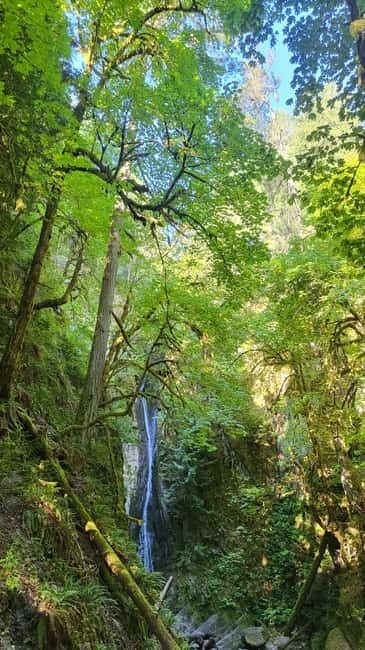 Victoria Waterfall, Skywalk, Beach Picnic, Castle and Whales - What Travelers Say