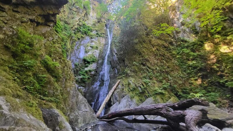 Victoria Waterfall, Skywalk, Beach Picnic, Castle and Whales - In Closing