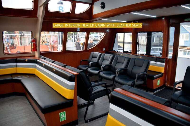 Victoria: Whale and Wildlife Semi-Covered Boating Tour - Key Points