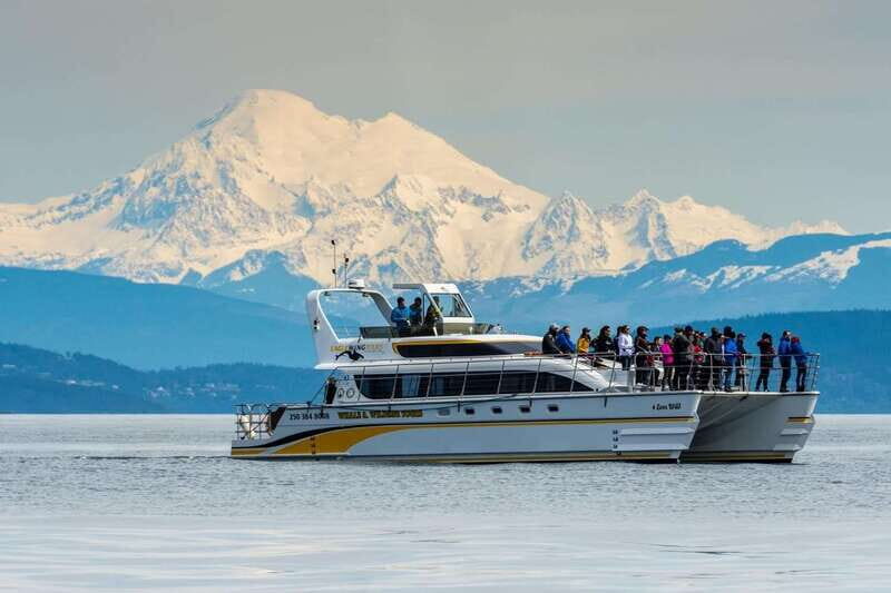 Victoria: Whale and Wildlife Semi-Covered Boating Tour - An In-Depth Look at the Victoria Whale and Wildlife Tour