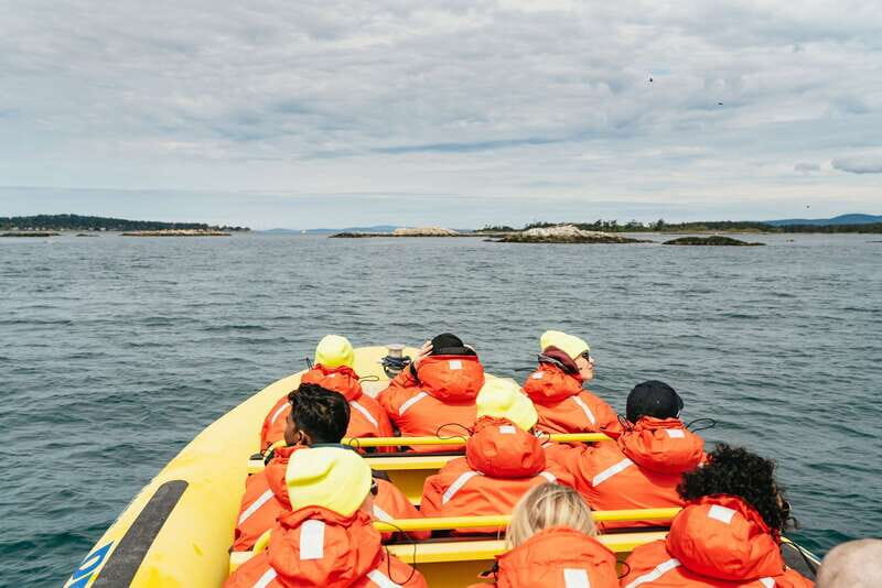 Victoria: Whale Watching Adventure in a Zodiac Boat - Key Points