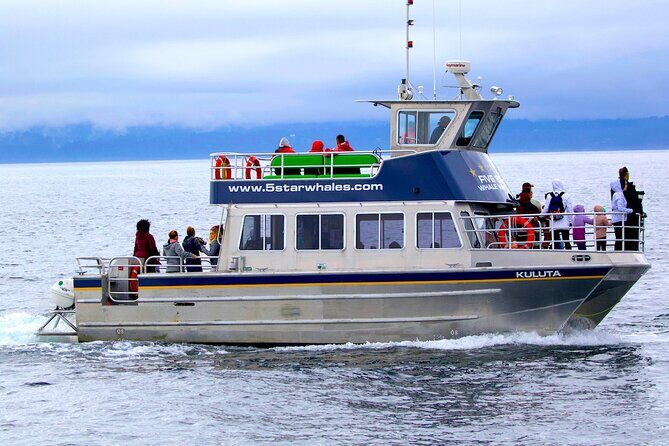 Victoria Whale Watching Cruise with Expert Naturalists - A Detailed Breakdown of the Victoria Whale Watching Experience