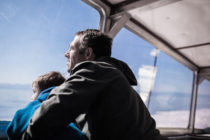 Victoria Whale Watching Tour on a Covered Vessel - An In-Depth Look at the Victoria Whale Watching Tour
