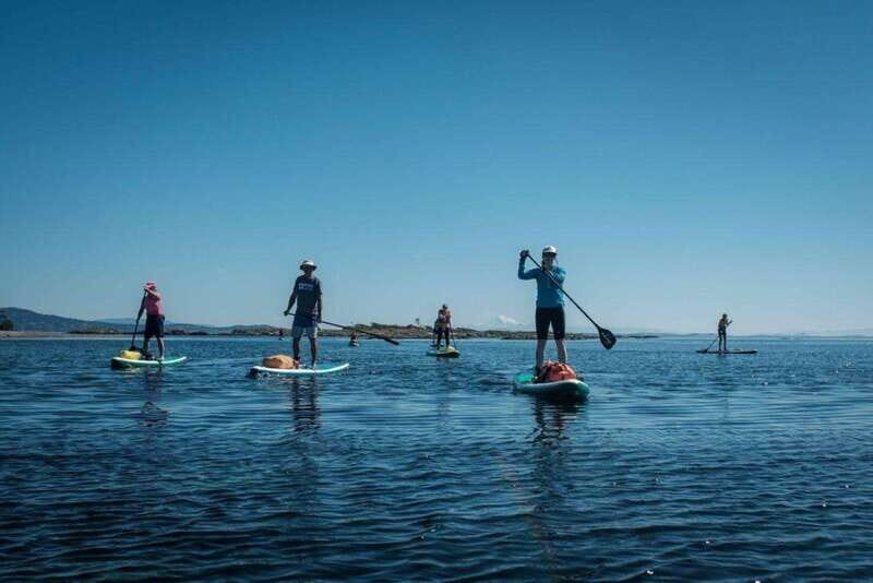Victoria,BC: Learn to SUP and Tour - What to Expect from the Victoria SUP Experience