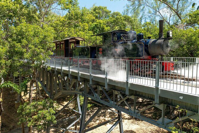 Victorian Steam (Long) Railway Journey+Great House & Distillery - Who Will Love This Tour?