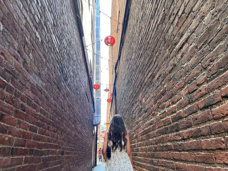 Victoria's City Highlights - Half Day Private Tour Excursion - Authentic Insights from Past Participants