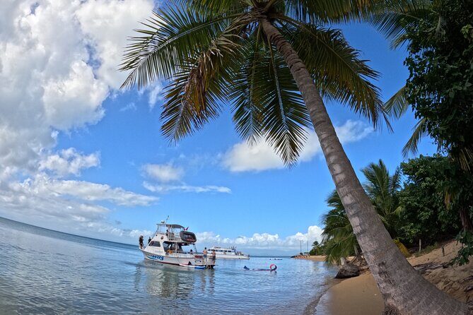 Vieques All-Inclusive: Swim with Turtles & Enjoy Pristine Beaches - The Value of the Experience