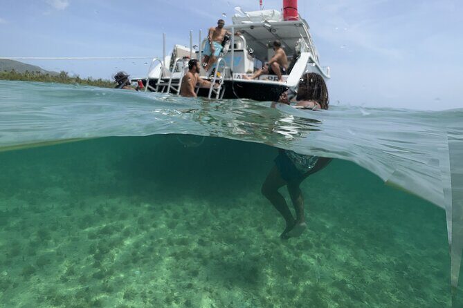 Vieques All-Inclusive: Swim with Turtles & Enjoy Pristine Beaches - The Sum Up: Why This Tour Is a Solid Choice