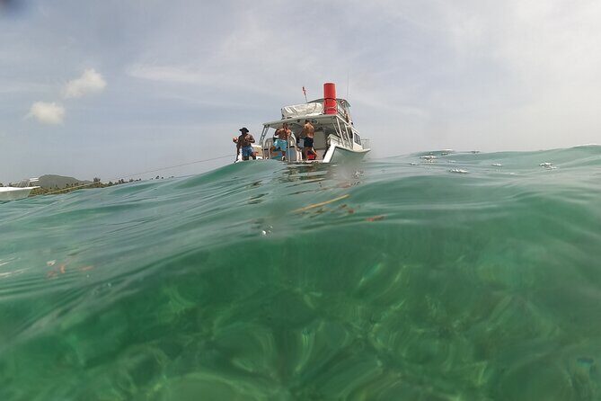 Vieques All-Inclusive: Swim with Turtles & Enjoy Pristine Beaches - FAQ: Common Questions About the Tour