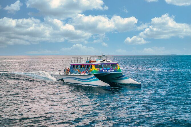 Vieques: Beach and Snorkeling Tour by Catamaran from Fajardo - The Journey to Paradise: An In-Depth Look