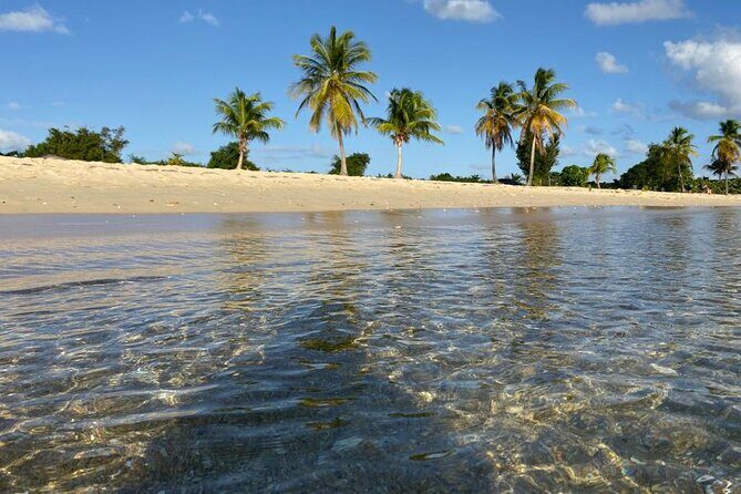 Vieques Bio Bay Tour and Beach Day Trip from San Juan by Ferry - Overview of the Tour Experience