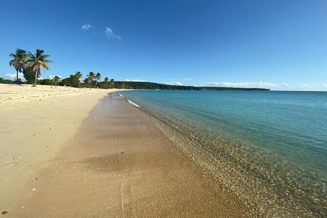 Vieques Bio Bay Tour and Beach Day Trip from San Juan by Ferry - Potential Drawbacks and Considerations
