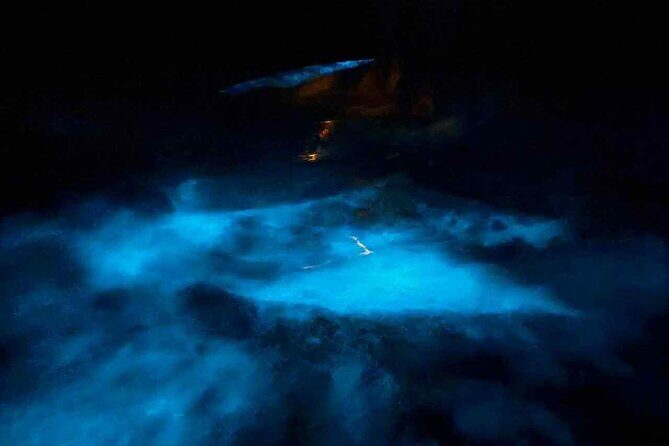 Vieques island Biobay Kayaking Tour - Key Points
