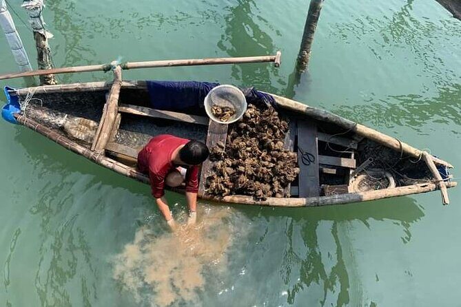Vietnam/Lang Co Oyster Tour by Fishing & Tasting Oyster Flavors - Key Points