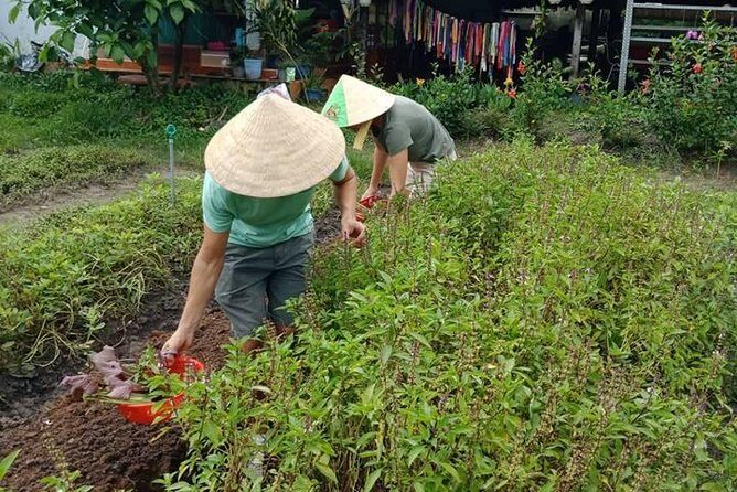 Vietnamese Cooking Class and Cu Chi Tunnels Tour from Ho Chi Minh City - The Sum Up