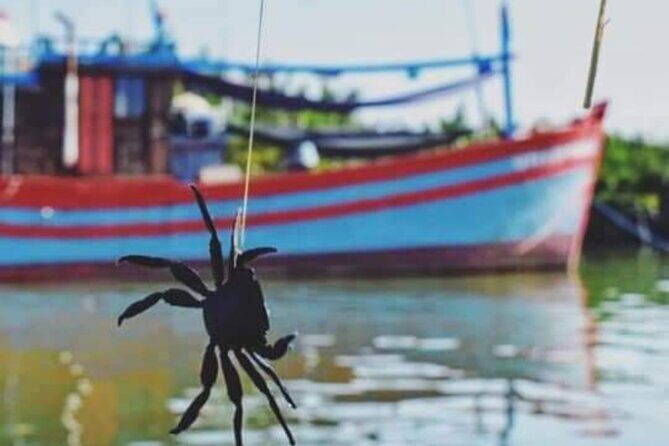 Vietnamese Cooking Class in Cam Thanh Coconut Forest & Basketboat - Key Points