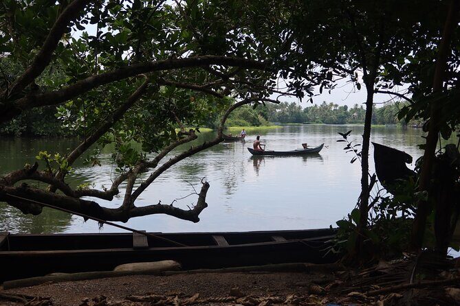 Village Backwater Punting Boat Tour From Alleppy - The Sum Up: Is This Tour Worth It?