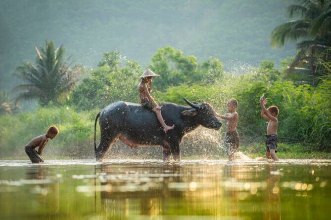 Village Life Tour from Siem Reap - Who Will Enjoy This Tour?
