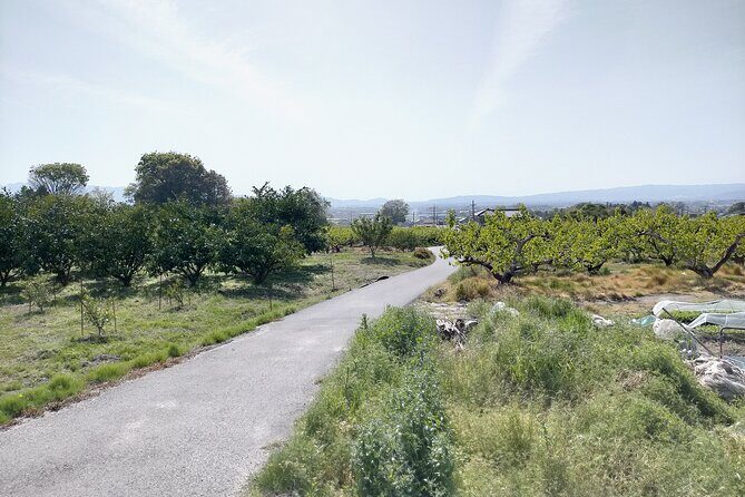 Village to village walk: Japan's oldest road, Yamanobe ancient trail (Private) - Who Should Consider This Tour?