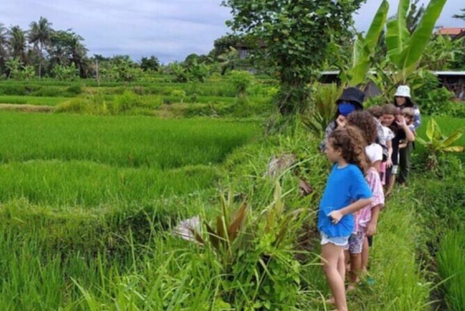 VILLAGE TOUR & RICE FIELDS TREKKING Jambangan Bali - Exploring the Village & Rice Fields Trek in Jambangan, Bali
