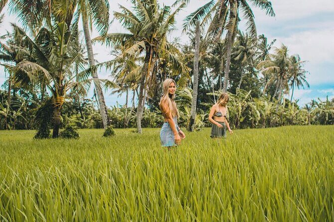 VILLAGE TOUR & RICE FIELDS TREKKING Jambangan Bali - A Closer Look at the Tour Itinerary