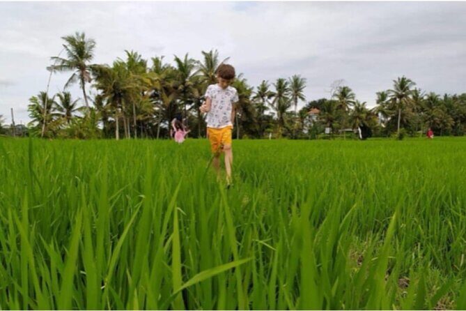 VILLAGE TOUR & RICE FIELDS TREKKING Jambangan Bali - The Sum Up: Who Will Love This Tour?