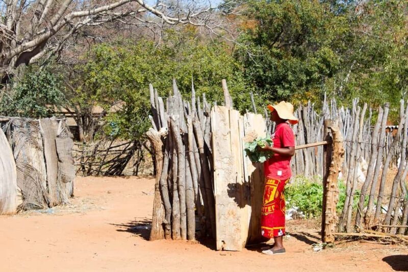 Village Tours - The Value of Knowledgeable Guides