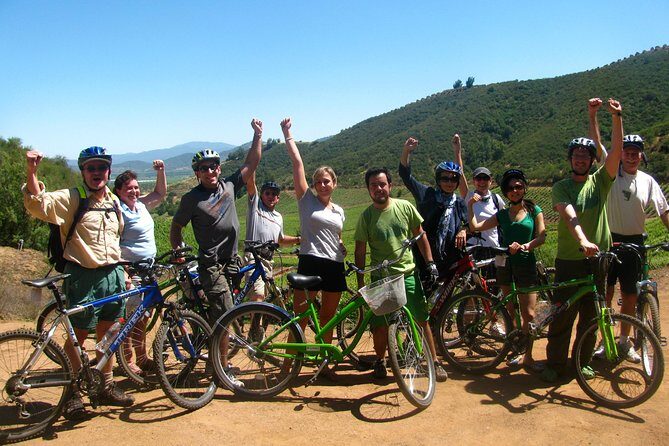 Vine and Dine Bicycle Wine Tour with Lunch - Final Thoughts