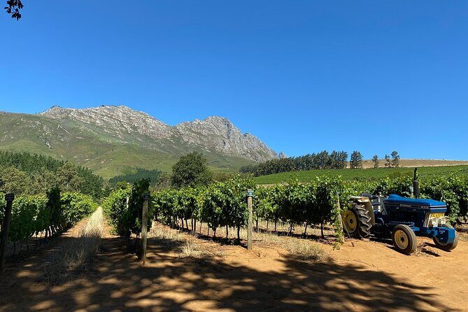 Vine Hopper: Hop-On Hop-Off Wine Tour - Northern Route - Exploring the Itinerary in Detail