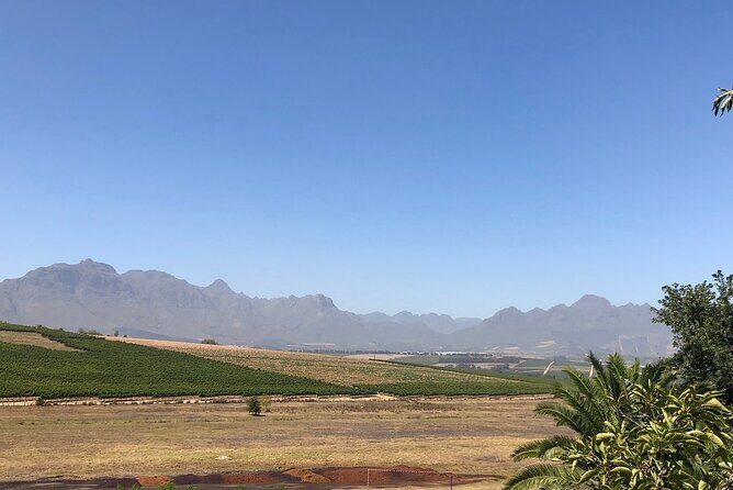 Vine Hopper: Hop-On Hop-Off Wine Tour - Northern Route - FAQ