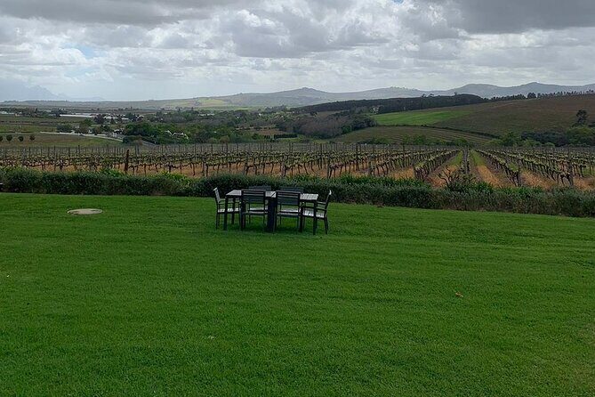 Vine Hopper: Hop-On Hop-Off Wine Tour - Southern Route - An In-Depth Look at the Southern Route Vine Hopper Tour