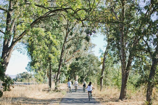 Vine Trail Discovery E-Bike Tour - An In-Depth Look at the Experience