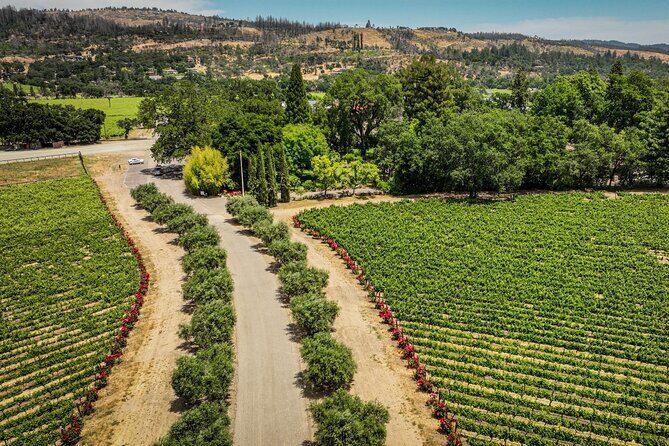 Vine Trail Discovery E-Bike Tour - FAQ