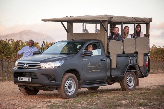 Vineyard Safari and Wine Tasting in Hermanus with Guide - Introduction: A Taste of South African Serenity