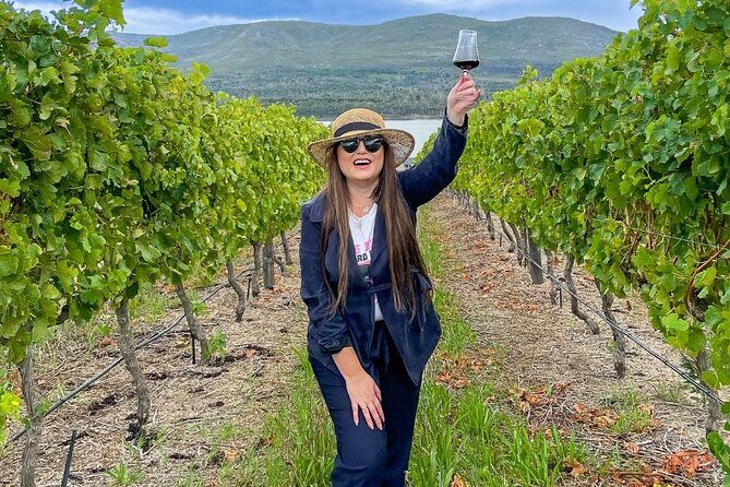 Vineyard Safari and Wine Tasting in Hermanus with Guide - Who Will Enjoy This Tour?