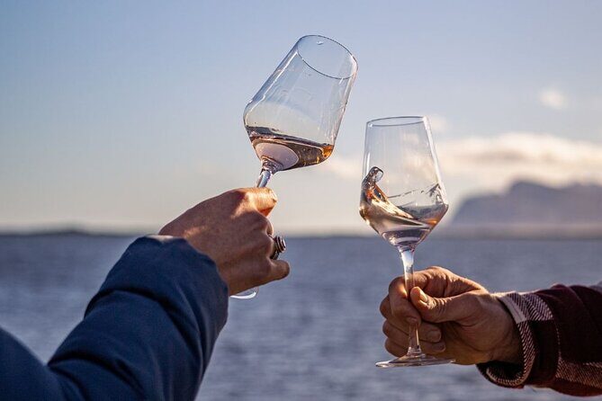Vineyard Safari and Wine Tasting in Hermanus with Guide - The Sum Up: Why You Should Consider This Experience